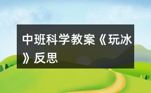 中班科學教案《玩冰》反思