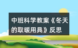 中班科學(xué)教案《冬天的取暖用具》反思