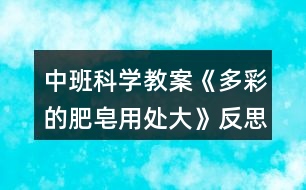 中班科學(xué)教案《多彩的肥皂用處大》反思