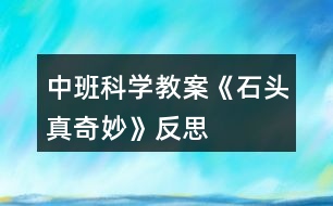 中班科學(xué)教案《石頭真奇妙》反思