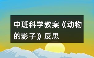 中班科學教案《動物的影子》反思