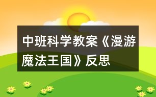 中班科學(xué)教案《漫游魔法王國(guó)》反思