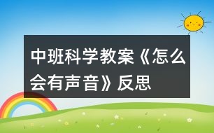 中班科學(xué)教案《怎么會有聲音》反思