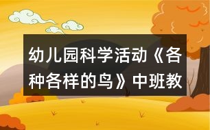 幼兒園科學活動《各種各樣的鳥》中班教案反思