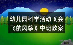 幼兒園科學活動《會飛的風箏》中班教案反思