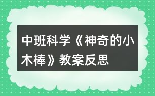 中班科學(xué)《神奇的小木棒》教案反思