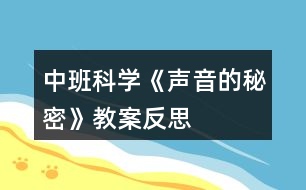 中班科學《聲音的秘密》教案反思