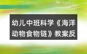 幼兒中班科學《海洋動物食物鏈》教案反思