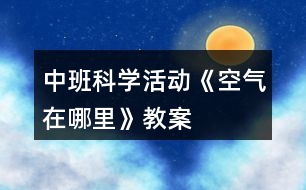 中班科學(xué)活動《空氣在哪里》教案