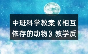 中班科學(xué)教案《相互依存的動物》教學(xué)反思