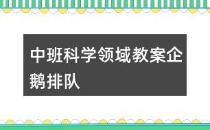 中班科學領域教案企鵝排隊