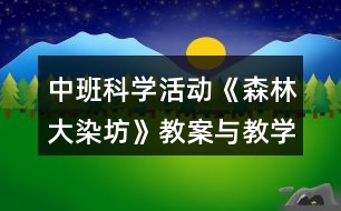 中班科學(xué)活動(dòng)《森林大染坊》教案與教學(xué)反思