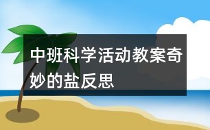 中班科學活動教案奇妙的鹽反思