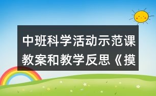 中班科學(xué)活動(dòng)示范課教案和教學(xué)反思《摸摸有什么感覺》