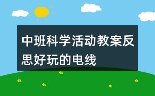 中班科學(xué)活動(dòng)教案反思“好玩的電線”