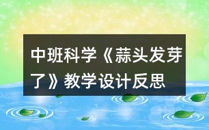 中班科學(xué)《蒜頭發(fā)芽了》教學(xué)設(shè)計(jì)反思