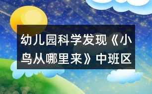 幼兒園科學(xué)發(fā)現(xiàn)《小鳥從哪里來》中班區(qū)域教案