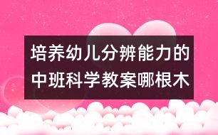 培養(yǎng)幼兒分辨能力的中班科學(xué)教案：哪根木幫粗些