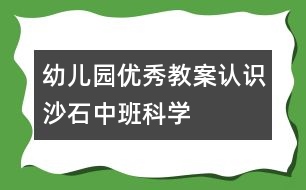 幼兒園優(yōu)秀教案：認(rèn)識沙石（中班科學(xué)）