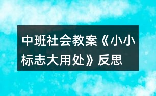 中班社會(huì)教案《小小標(biāo)志大用處》反思