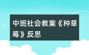 中班社會教案《種草莓》反思