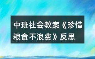 中班社會教案《珍惜糧食不浪費》反思