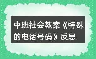 中班社會(huì)教案《特殊的電話號碼》反思