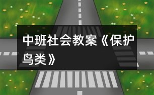 中班社會教案《保護鳥類》