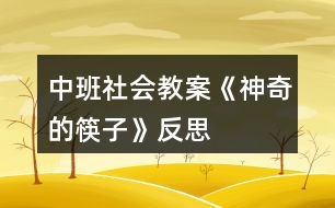 中班社會教案《神奇的筷子》反思