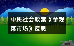 中班社會教案《參觀菜市場》反思