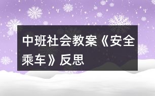 中班社會教案《安全乘車》反思