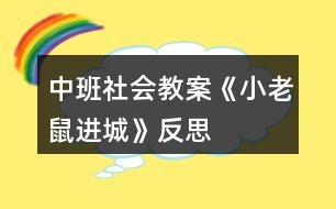 中班社會教案《小老鼠進城》反思