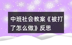 中班社會(huì)教案《被打了怎么做》反思