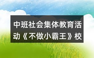 中班社會集體教育活動《不做小霸王》校園欺凌霸教案反思