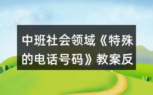 中班社會(huì)領(lǐng)域《特殊的電話號(hào)碼》教案反思