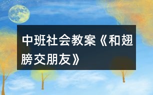 中班社會教案《和翅膀交朋友》