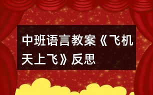 中班語言教案《飛機(jī)天上飛》反思