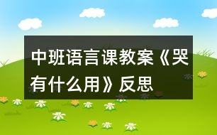 中班語(yǔ)言課教案《哭有什么用》反思