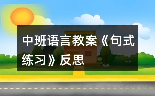 中班語言教案《句式練習(xí)》反思