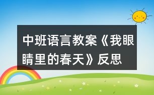 中班語(yǔ)言教案《我眼睛里的春天》反思