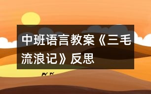 中班語言教案《三毛流浪記》反思