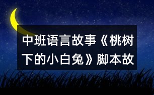 中班語(yǔ)言故事《桃樹下的小白兔》腳本故事反思