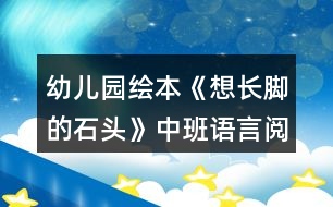 幼兒園繪本《想長(zhǎng)腳的石頭》中班語(yǔ)言閱讀教案