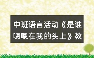 中班語言活動《是誰嗯嗯在我的頭上》教學(xué)設(shè)計反思