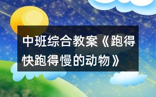 中班綜合教案《跑得快、跑得慢的動物》