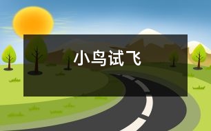 小鳥(niǎo)試飛