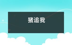 豬追我