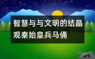 智慧與與文明的結晶——觀秦始皇兵馬俑后感