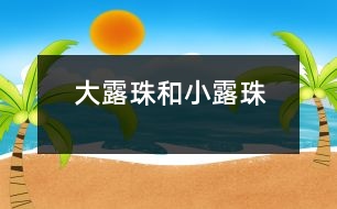 大露珠和小露珠