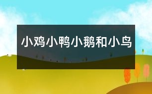 小雞、小鴨、小鵝和小鳥